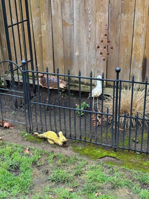 Sale Photo Thumbnail #58