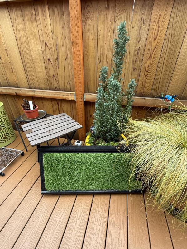 Sale Photo Thumbnail #45