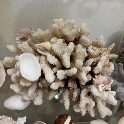 Sale Photo Thumbnail #21