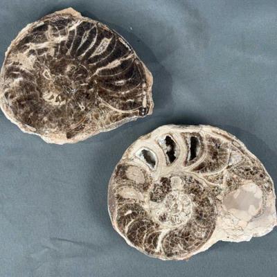 Sale Photo Thumbnail #498