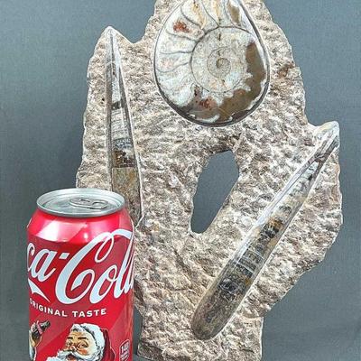 Sale Photo Thumbnail #496