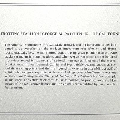 Sale Photo Thumbnail #80