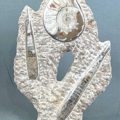 Sale Photo Thumbnail #495