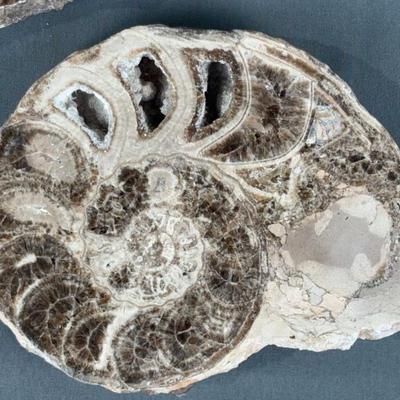 Sale Photo Thumbnail #499