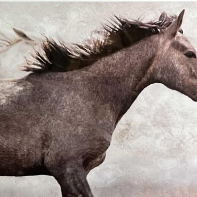 Sale Photo Thumbnail #413