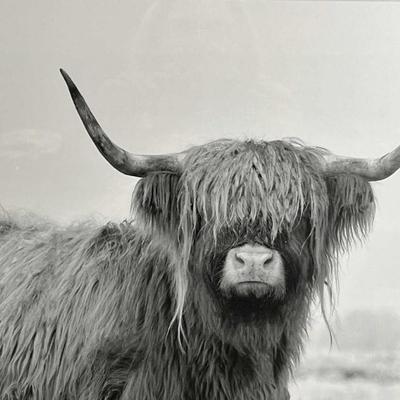 Sale Photo Thumbnail #410