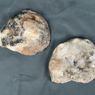 Sale Photo Thumbnail #501