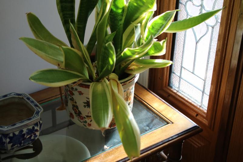 Sale Photo Thumbnail #3