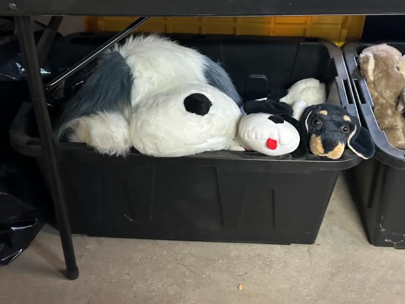 Sale Photo Thumbnail #337