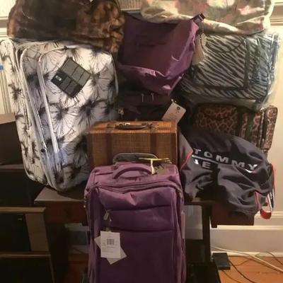 Assorted Luggage Collection in Multiple Sizes & Styles