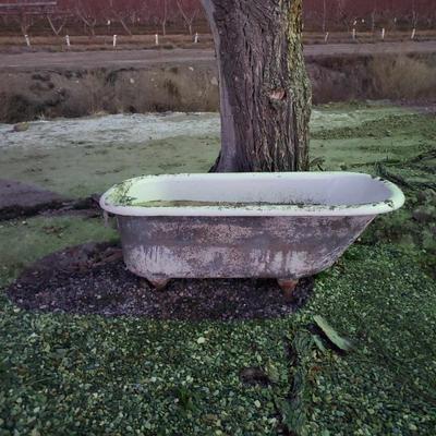 Sale Photo Thumbnail #28