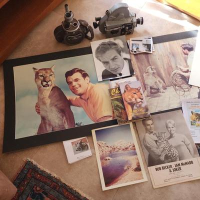 Sale Photo Thumbnail #17