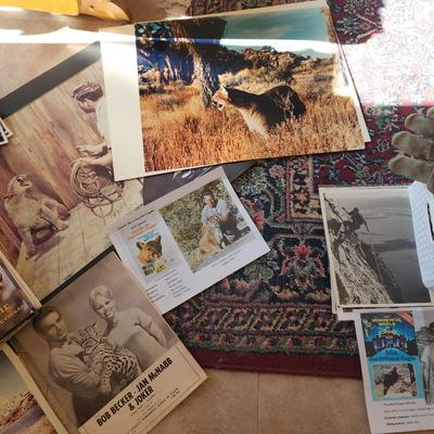 Sale Photo Thumbnail #18