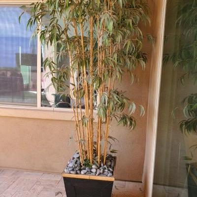 Sale Photo Thumbnail #149