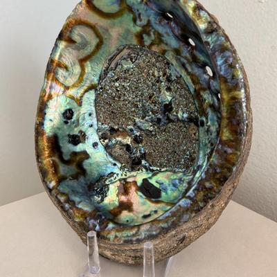 Sale Photo Thumbnail #26