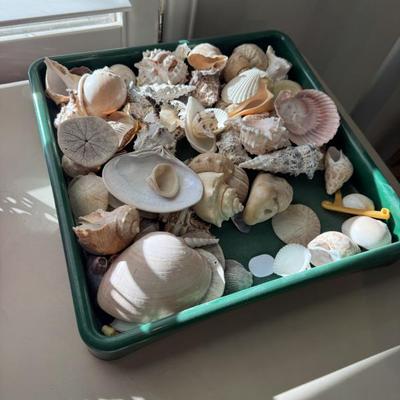 Sale Photo Thumbnail #115