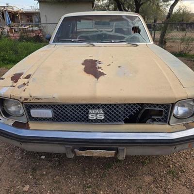 Sale Photo Thumbnail #196