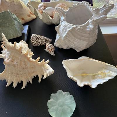 Sale Photo Thumbnail #117