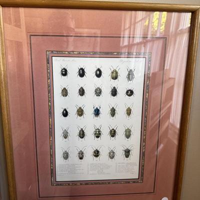 Sale Photo Thumbnail #251