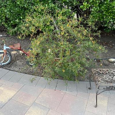 Sale Photo Thumbnail #82