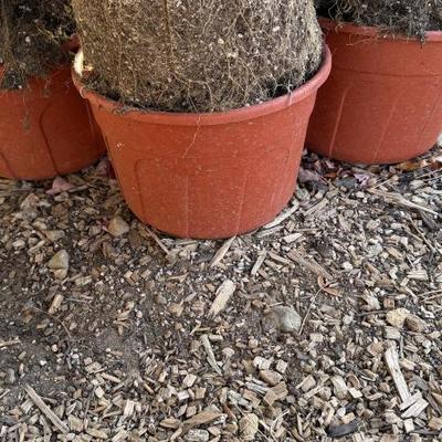 Sale Photo Thumbnail #94