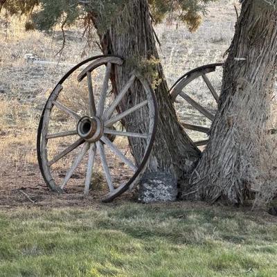 Sale Photo Thumbnail #111