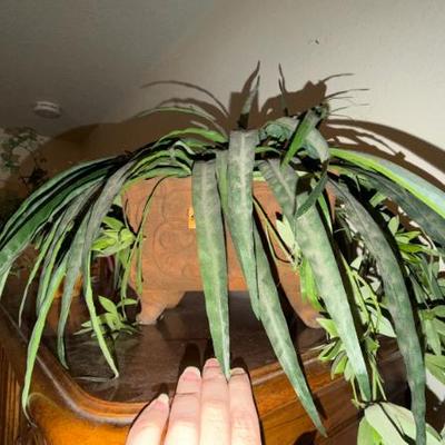 Sale Photo Thumbnail #347