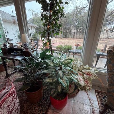 Sale Photo Thumbnail #73