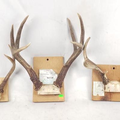 Sale Photo Thumbnail #248