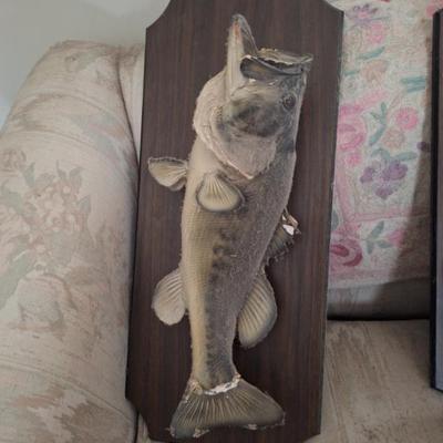 Sale Photo Thumbnail #64