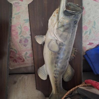 Sale Photo Thumbnail #65