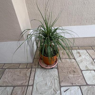 Sale Photo Thumbnail #26