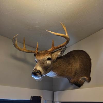 Sale Photo Thumbnail #169