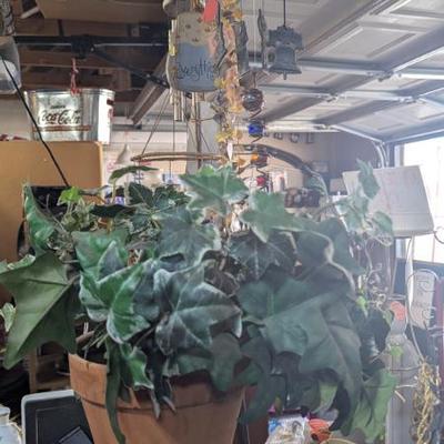 Sale Photo Thumbnail #174