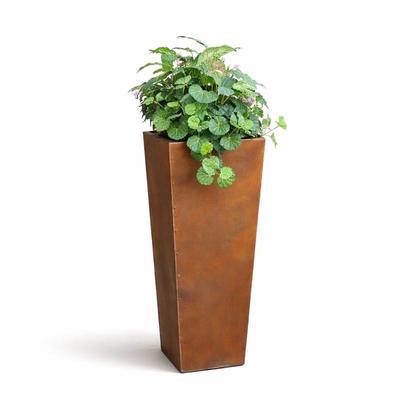 Sale Photo Thumbnail #265