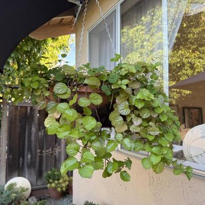 Sale Photo Thumbnail #18