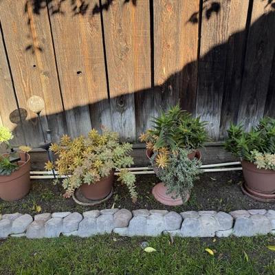 Sale Photo Thumbnail #20