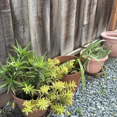 Sale Photo Thumbnail #66