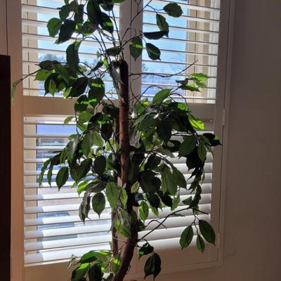 Sale Photo Thumbnail #252