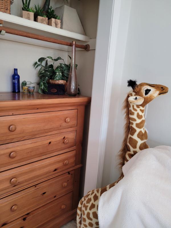 Sale Photo Thumbnail #262