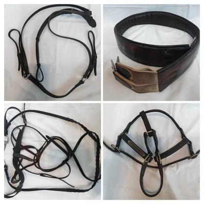 Medici of England Leather Horse Tack Lot – Bridle, Reins, Breastplate & Double Girth Set