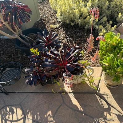 Sale Photo Thumbnail #231