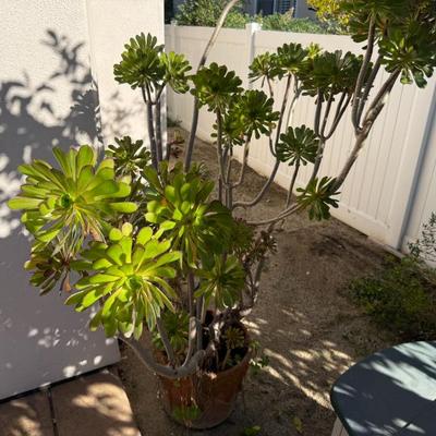 Sale Photo Thumbnail #243