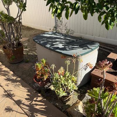 Sale Photo Thumbnail #242