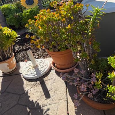 Sale Photo Thumbnail #234