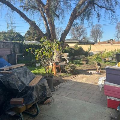 Sale Photo Thumbnail #14