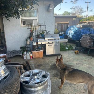 Sale Photo Thumbnail #13