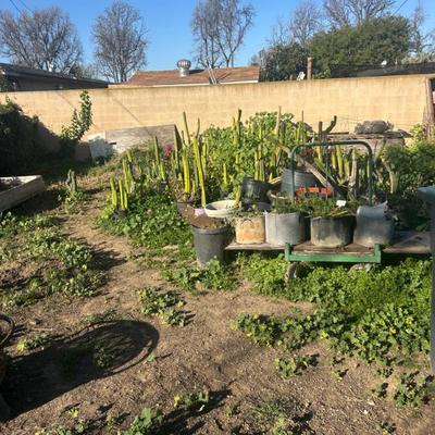 Sale Photo Thumbnail #21