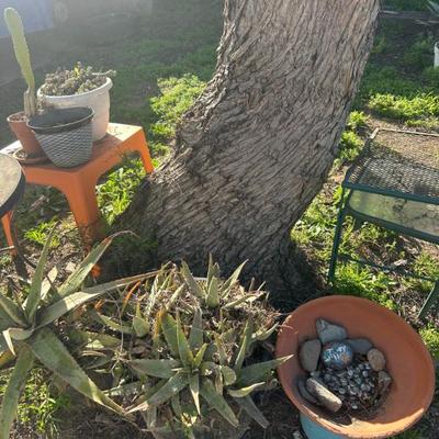 Sale Photo Thumbnail #20