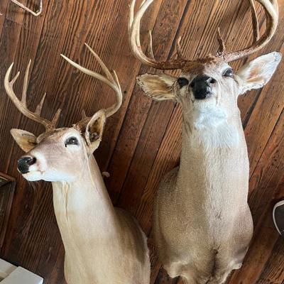 Sale Photo Thumbnail #178